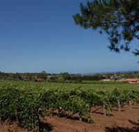 Grancari - Holiday Find