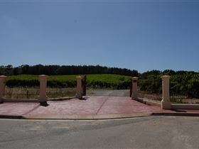 Grancari - Holiday Find 1