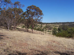 Onkaparinga River National Park - Holiday Find 0