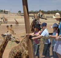 Monarto Open Range Zoo - Holiday Find