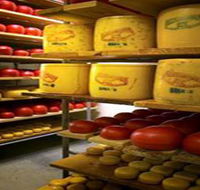 Alexandrina Cheese Company - Holiday Find