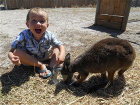 Animal Farm Goolwa - Holiday Find 0