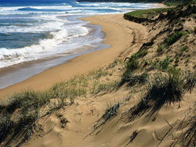 Waitpinga SA Holiday Find