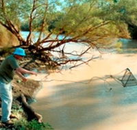 Charleville - Ward River Fishing Spot - Holiday Find