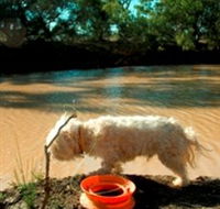 Charleville - 27 Mile Warrego River Fishing Spot - Holiday Find