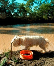 Charleville - 27 Mile Warrego River Fishing Spot - Holiday Find 0