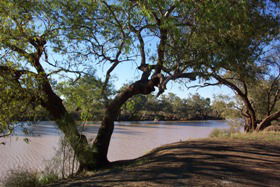 Charleville - 27 Mile Warrego River Fishing Spot - Holiday Find 4