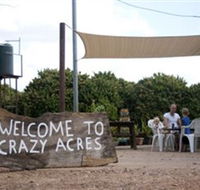 Crazy Acres - Holiday Find