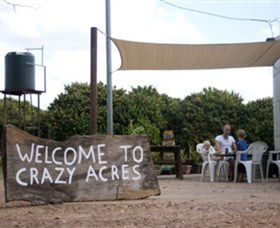 Crazy Acres - Holiday Find 0