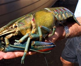 Fairbairn Dam, Lake Maraboon - Holiday Find 3