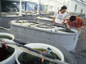 James Cook University Of North Queensland - Holiday Find 0