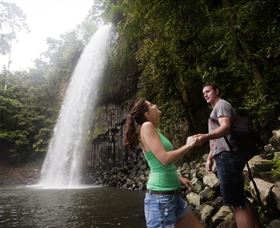 Millaa Millaa Falls - Holiday Find 0