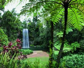 Millaa Millaa Falls - Holiday Find 2