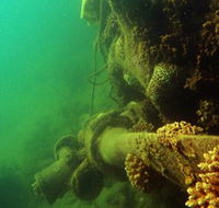 Wreck Diving at Magnetic Island - Holiday Find