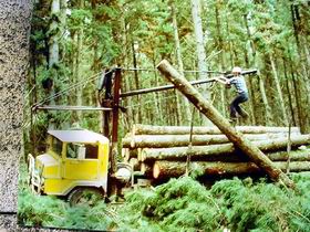 Nangwarry Forestry And Logging Museum - Holiday Find 3