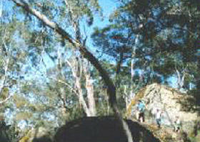 Dergholm State Park - Holiday Find 0