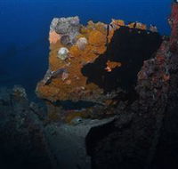 Lady Bowen Dive Site - Holiday Find