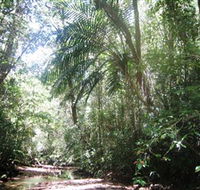 Mount Lewis National Park - Holiday Find