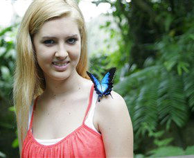 Australian Butterfly Sanctuary - Holiday Find 0