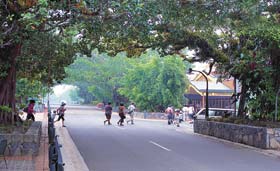 Kuranda - Village In The Rainforest - Holiday Find 1