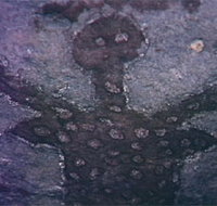 Quinkan Reserves Ancient Rock Art - Holiday Find