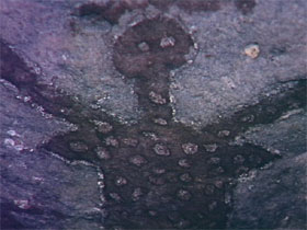 Quinkan Reserves Ancient Rock Art - Holiday Find 0