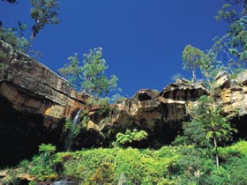 Blackdown Tableland National Park - Holiday Find 1