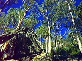 Blackdown Tableland National Park - Holiday Find 3