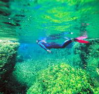 Piccaninnie Ponds Conservation Park - Holiday Find