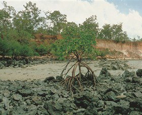 Garig Gunak Barlu National Park - Holiday Find 3