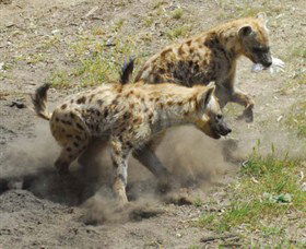 Altina Wildlife Park - Holiday Find 0
