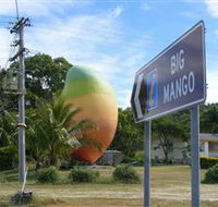 Big Mango - Holiday Find