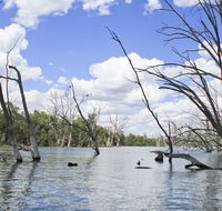 Murrumbidgee Valley National Park - Holiday Find