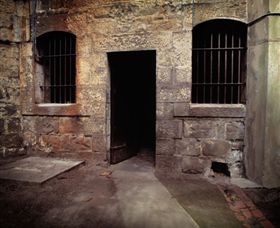 J Ward Museum - Holiday Find 0