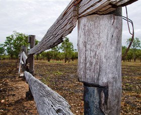 Oyala Thumotang National Park (CYPAL) - Holiday Find 1