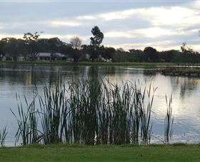 Luke Park - Holiday Find 2