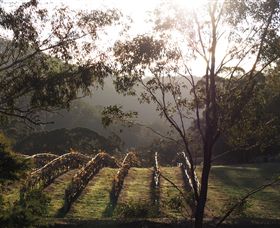 Mountainside Wines - Holiday Find 3