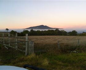 Mountainside Wines - Holiday Find 2