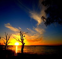 Lake Cowal - Holiday Find