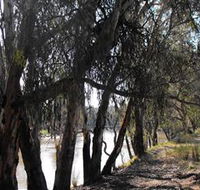 Mia Forest Drives Narrandera - Holiday Find