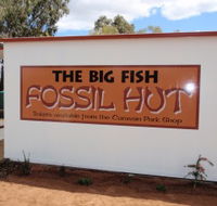 Big Fish Fossil Hut at Peak Hill - Holiday Find