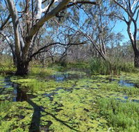 Macquarie Valley Trails - Holiday Find