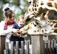 Taronga Western Plains Zoo Dubbo - Holiday Find