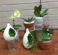 Cobram Florist - Holiday Find