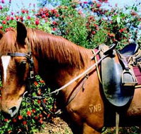 Western Plains Riding Centre - Holiday Find