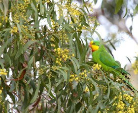 Savernake Day Tours - Holiday Find 2