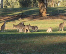 Savernake Day Tours - Holiday Find 4