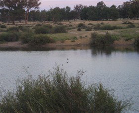 Savernake Day Tours - Holiday Find 7