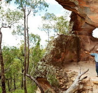 Pilliga National Park - Holiday Find