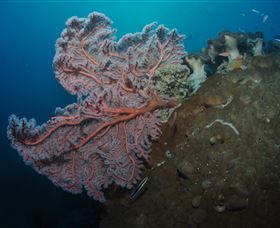 Luncheon Bay Dive Site - Holiday Find 0